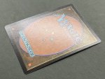 画像4: 【FOIL】【ボーダーレス】ウルザの物語/Urza's Saga (4)