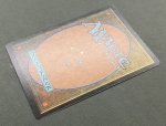 画像6: 【FOIL】吸血の教示者/Vampiric Tutor (6)