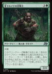 画像1: 牙ドルイドの召喚士/Fang-Druid Summoner (1)