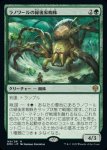 画像1: ラノワールの緑後家蜘蛛/Llanowar Greenwidow (1)