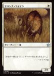 画像1: サバンナ・ライオン/Savannah Lions (1)