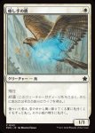 画像1: 癒し手の鷹/Healer's Hawk (1)