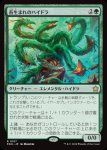 画像1: 苔生まれのハイドラ/Mossborn Hydra (1)