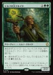 画像1: エルフの大ドルイド/Elvish Archdruid (1)