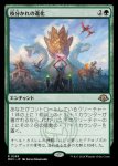 画像1: 枝分かれの進化/Branching Evolution (1)