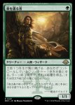 画像1: 森を護る者/Sylvan Safekeeper (1)