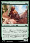 画像1: 巨大ビーバー/Giant Beaver (1)